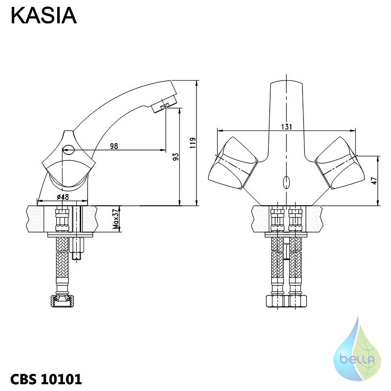 CBS 10101